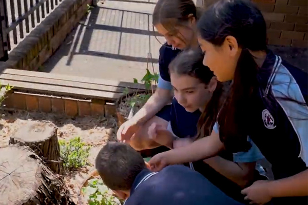 St Joseph's Oatley Bee Hive